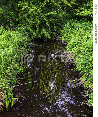River Test in Mottisfont, Hampshire, UK River Test in Mottisfont, Hampshire, UK 90290118