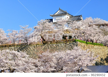 津山公園的櫻花（津山城） 90290432
