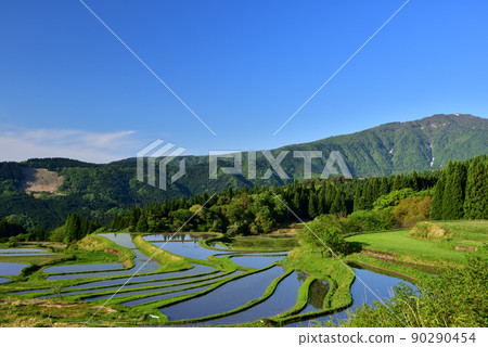 別庫的水稻梯田 別庫的水稻梯田 90290454