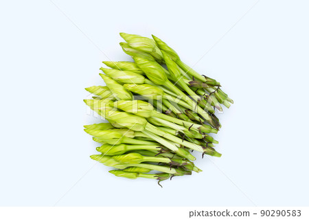 Moonflower or Ipomoea alba L for cooking 90290583