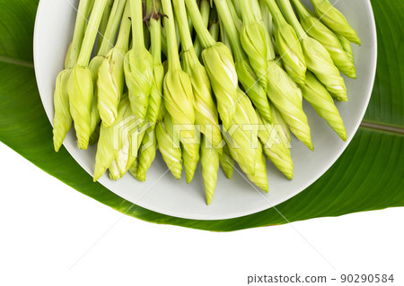 Moonflower or Ipomoea alba L for cooking 90290584