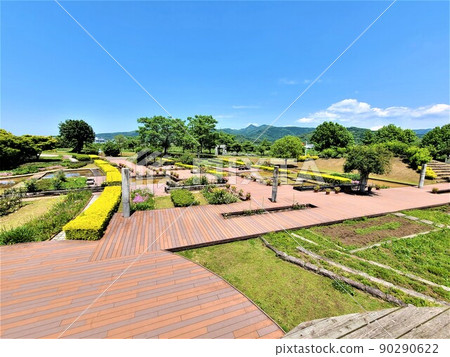 和泉市立鶴博物館 鶴園 和泉 新綠的時候 和泉市立鶴博物館 鶴園 和泉 新綠的時候 90290622