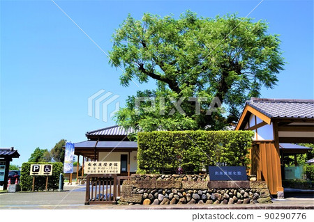 Izumi-Fumoto Samurai Residences, Izumi-Fumoto History Museum, Surrounding Scenery, Fresh Green Times, Kagoshima Prefecture Izumi-Fumoto Samurai Residences, Izumi-Fumoto History Museum, Surrounding Scenery, Fresh Green Times, Kagoshima Prefecture 90290776