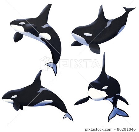 Orca | Fab