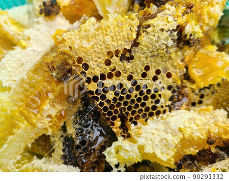 從蜂箱中取出後立即超級新鮮的蜂巢蜂蜜 90291332