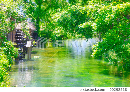 Clear flow and water mill 90292218