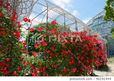 小田原花園 90292444