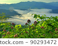 Overlooking the sea of clouds beyond the flowers Overlooking the sea of clouds beyond the flowers 90293472