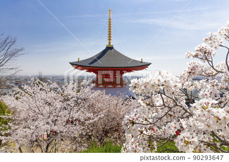 Sakura at Nakayamadera Sakura at Nakayamadera 90293647