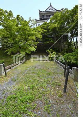 岡崎城(清海堀上的迴廊橋和天守閣) 岡崎城(清海堀上的迴廊橋和天守閣) 90293818