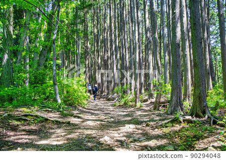 東京都高尾神場自然公園山路到影信山 90294048
