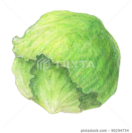 生菜水彩鉛筆蔬菜插圖背景透明 90294734