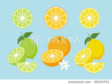 [夏季]酸橙，橙子和檸檬的維生素柑橘類水果插圖素材 90294761