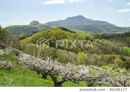 Umebayashi and Lake Toya Umebayashi and Lake Toya 90296137