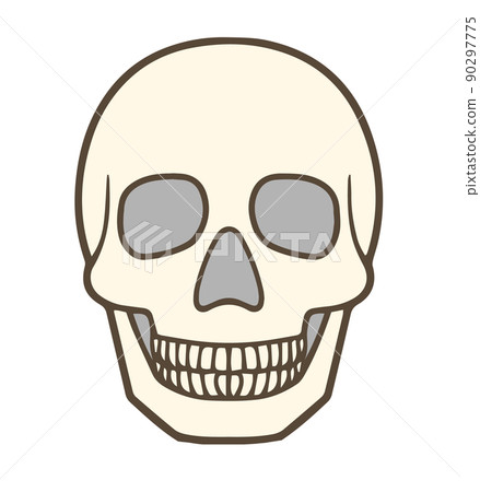 Skull, skull, human head bone, cream Skull, skull, human head bone, cream 90297775