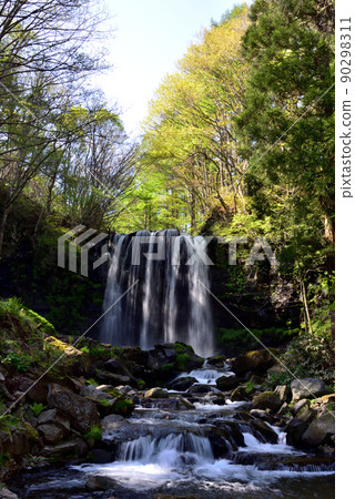 Karasawa Waterfall in Sugadaira, Nagano Prefecture Karasawa Waterfall in Sugadaira, Nagano Prefecture 90298311