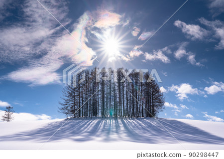 《北海道》冬季溫和的七山,有雪的美瑛 《北海道》冬季溫和的七山,有雪的美瑛 90298447
