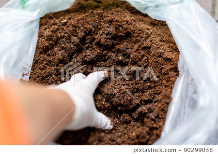 Beetle breeding insect mat replacement Beetle breeding insect mat replacement 90299038