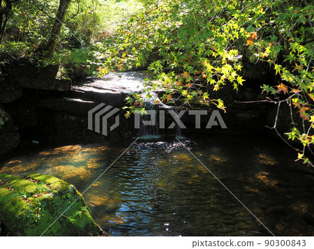 Autumn leaves in Yamanaka Gorge, Kurogimachi, Yame City, Fukuoka Prefecture Autumn leaves in Yamanaka Gorge, Kurogimachi, Yame City, Fukuoka Prefecture 90300843