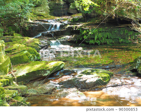 福岡縣八女市黑木町山中峽的紅葉 90300853