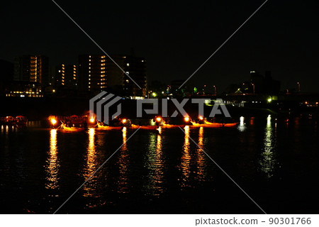 Nagara River Cormorant Total View 90301766