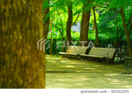 布引瀑布，兵庫縣森林中的長椅，獨興院 90302054