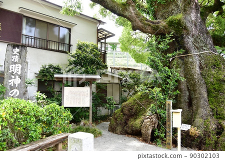 Yugawara Town Historic Site "Myojin no Kusunoki" and Information Board 90302103