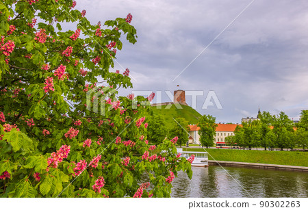 Vilnius Upper Castle with Tower Of Gediminas, landscape of Vilnius 90302263