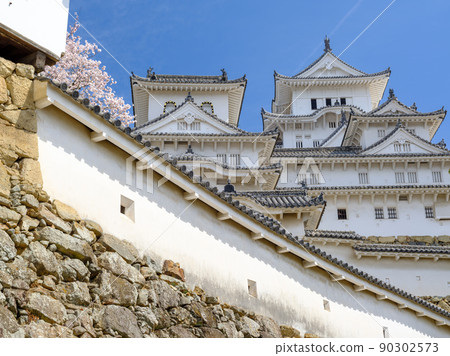 Hyogo_A spectacular view of Himeji Castle, a World Heritage Site in full bloom 90302573