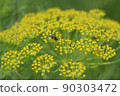1 在藥草園 90303472
