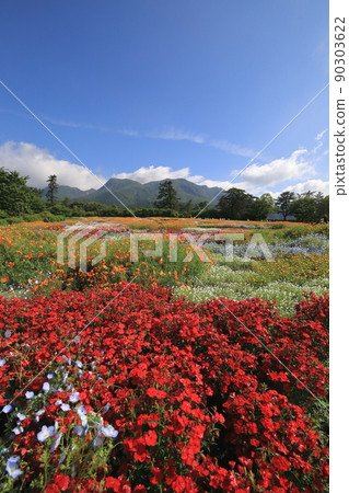 九重山脈和春田 九重山脈和春田 90303622