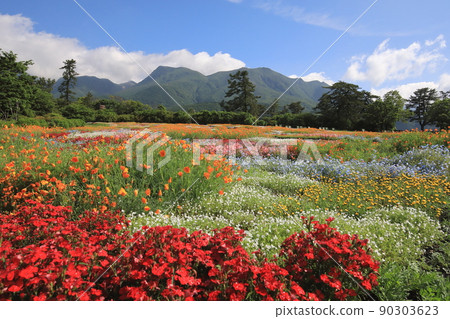 九重山脈和春田 90303623