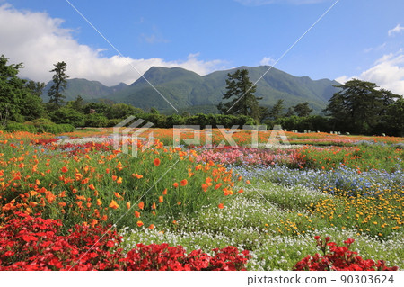 九重山脈和春田 90303624