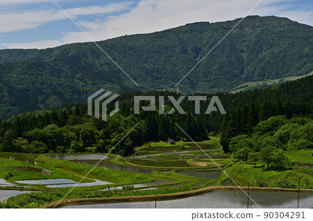 別府的梯田和rice山 別府的梯田和rice山 90304291