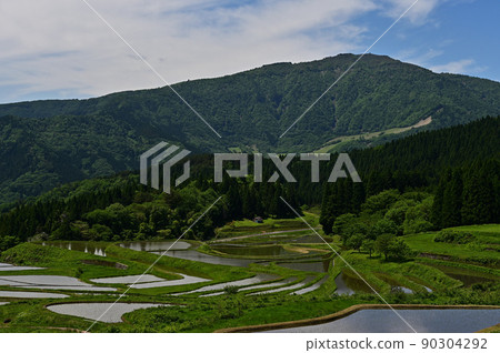 別府的梯田和rice山 別府的梯田和rice山 90304292
