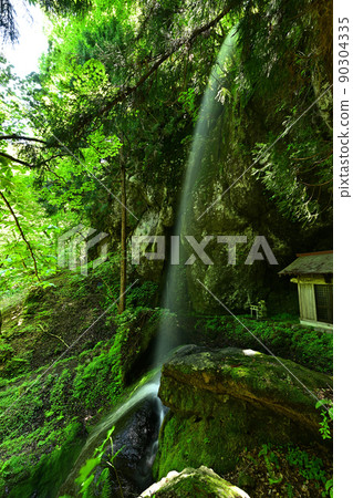 From Yoshitaki From Yoshitaki 90304335