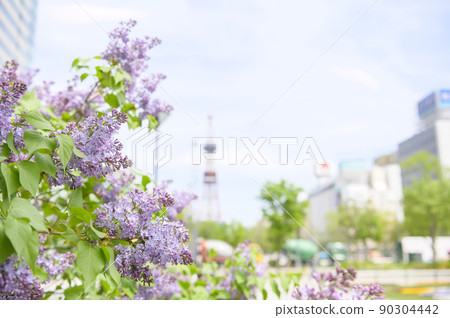Lilac and TV tower in Sapporo Odori Park Lilac and TV tower in Sapporo Odori Park 90304442