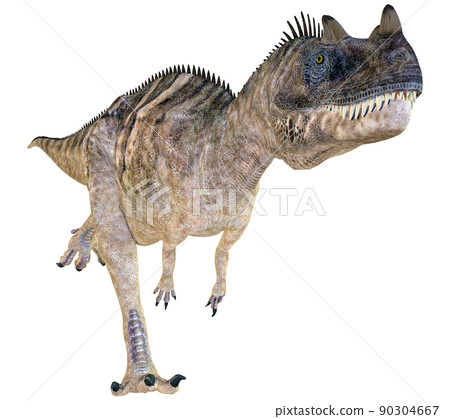 Ceratosaurus ☆ Ceratosaurus Ceratosaurus ☆ Ceratosaurus 90304667