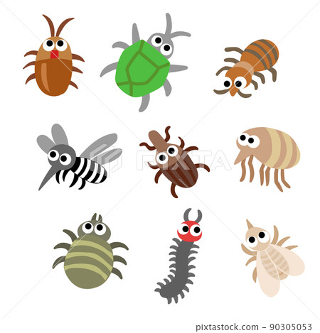 害蟲套裝 蟑螂、臭蟲、臭蟲、蚊子、玉米象鼻蟲、跳蚤、蜱、蜈蚣、白蟻 90305053