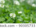 Clover 2 90305733