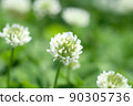 Clover 3 90305736