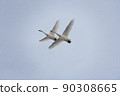 Synchronized flying swan 90308665