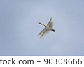 Synchronized flying swan 90308666