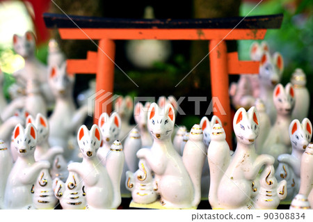 Sasuke Inari's white fox Sasuke Inari's white fox 90308834