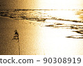 Shining winter lake surface 90308919