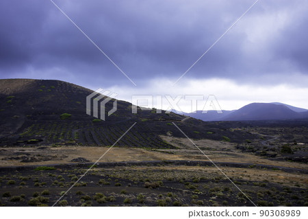 The Wine Valley of La Geria - Lanzarote, Spain 90308989