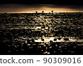 Waterfowl on the glowing lake surface 90309016