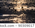 Waterfowl on the glowing lake surface 90309017