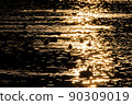 Waterfowl on the glowing lake surface 90309019