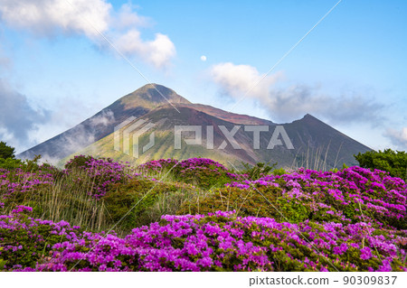 霧島中岳自然探索之路美山霧島 90309837